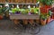 Ready for Spring - Garden wagon full of potted flowers in front of shelves of potted roses - selective focus