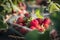 Ready to eat red strawberries freshly picked under green plants