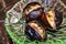 Ready to eat roasted shelled chestnuts inside the plate