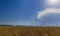 Ready to harvest wheat against the backdrop of beautiful mountains and clouds