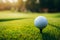 Ready to tee off Golf ball closeup on green grass