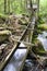 Reagan mill, smoky mountains