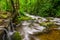 Reagans Mill, Roaring Fork, Great Smoky Mountains