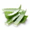 Real Aloe Vera Leaves On White Background - Health Goth Style