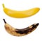 Real and artificial bananas