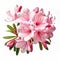 Real Azalea Flower Bouquet: Symbolism And Lifelike Renderings