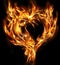 Real burning heart shape on black