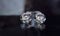 Real diamond Large, clear and luxurious luster, expensive, rare for jewelry