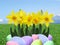 Real easter eggs and daffodils with green grass and blue sky background