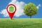 Real Estate and Building Activity concept with a vacant land on a green field and lone tree - concept with red location pin point