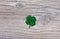 Real four leaf clover on rustic wood