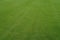 Real golf lawn green texture - grass