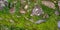 Real Green Moss Seamless Texture