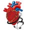 Real heart with stethoscope. Vector illustration.