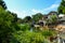 A real jungle in an amusement Park, nature trees ferns of the river and boats