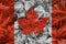 Real Leaf Canada Flag - Selective Colour