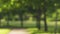 Real lens blur of park in sunny day loopable