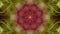 Real Lightpainting Mandala Abstract Art Yogi Yogga Mat Light Code Harmony Heart Love Power Soulshine Sun Green Red
