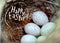 Real little eggs in a straw nest. The concept of Easter. Inscription Happy Easter. Selective focus.