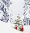 Real, live Christmas tree and presents gifts outdoors with snowy forest wilderness landscape background. Beautiful, simple holiday