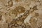 Real Marble. Ornate, design use and background. Detail texture.