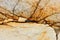 Real natural `Quartzite Patagonia`  texture pattern.