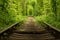 Real natural wonder love tunnel created from trees along the railway Ukraine, Klevan