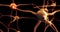 Real Neuron synapse network with red electric impulse activity able to loop