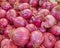 Real organic red onions