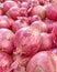 Real organic red onions