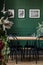 Real photo of black chairs standing at a wooden table in elegant dining room interior with framed photos on green wall