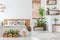 Real photo of a botanical bedroom interior with wooden shelves,