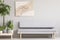 Real photo of a cozy gray couch standing next to a wooden platform with plants in a simple, scandi living room interior