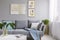 Real photo of a grey sofa standing in a stylish living room interior behind a white table with leaves and in front of a grey wall