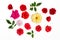 Real rose flower selection. Craft crop cut-out . White background flat-lay