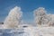 A Real Russian Winter. Morning Frosty Winter Landscape With Dazzling White Snow And Hoarfrost, River And A Saturated Blue Sky.