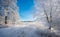 Real Russian Winter. Morning Frosty Winter Landscape With Dazzling White Snow And Hoarfrost, Trees And A Saturated Blue Sky