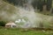 Real shepherd yurt in kyrgyzstan Tien Shan mountain