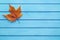 Real Single Fall Leaf on a Blue Wooden Table