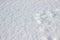 Real snow surface to use background texture. Pure fluffy snow. Just falling white snow. White snowflakes. Pure fluffy