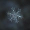 Real snowflake glittering on smooth blur background