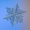 Real snowflake glittering on smooth gradient background