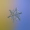 Real snowflake glittering on smooth gradient background