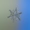 Real snowflake glittering on smooth gradient background