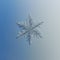 Real snowflake glittering on smooth gradient background