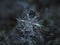 Real snowflake glowing on dark textured background