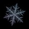 Real snowflake isolated on black background