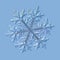 Real snowflake isolated on uniform blue background