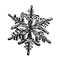 Real snowflake on white background