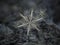 Real snowflakes glowing on dark textured background